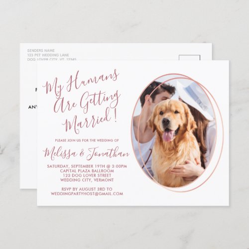 Budget Rose Gold Custom Pet Photo Dog Wedding Postcard