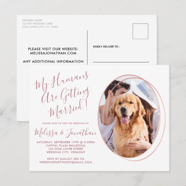 Budget Rose Gold Custom Pet Photo Dog Wedding Postcard (Front/Back)