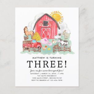 Budget Rustic Barnyard Animals Kids Farm Birthday