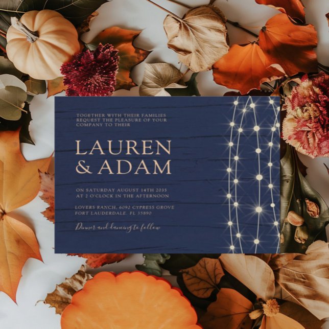 Budget Rustic Blue String Lights Wedding  (Creator Uploaded)