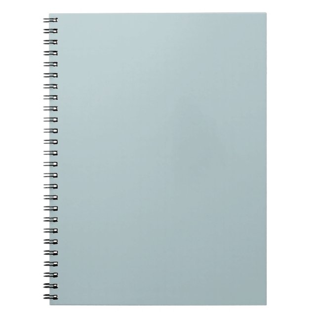 BUDGET Sea Glass Sage Green Monochrome Wedding Notebook (Front)