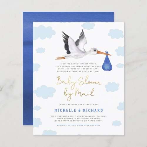 Budget Stork Delivery Blue Baby Boy Baby Shower