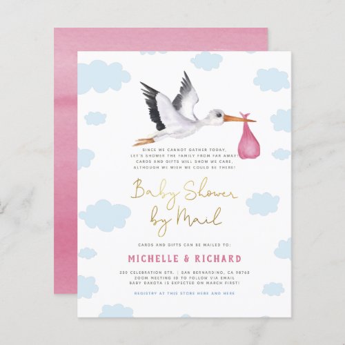 Budget Stork Delivery Pink Baby Girl Baby Shower