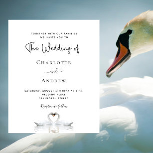 Budget swan couple white wedding invitation