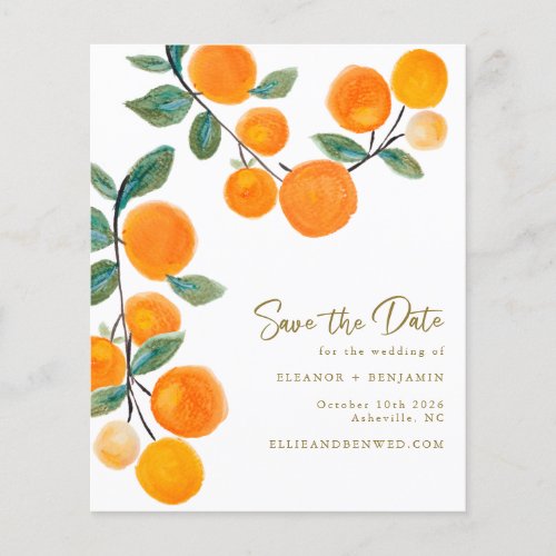 Budget Watercolor Orange Fruit Save The Date