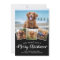 Budget We Woof You Merry Christmas Dog Pet Photo