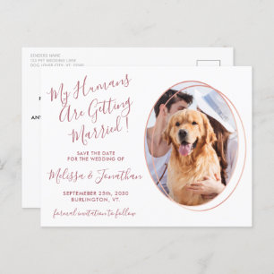 Budget Wedding Pet Photo Rose Gold Save The Date Postcard