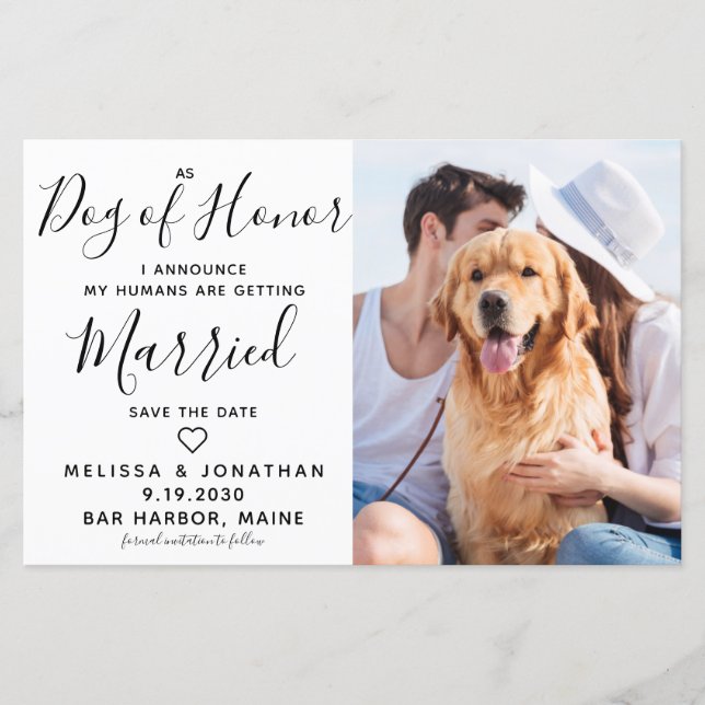 Budget Wedding Photo Dog Save The Date Cards (Front)