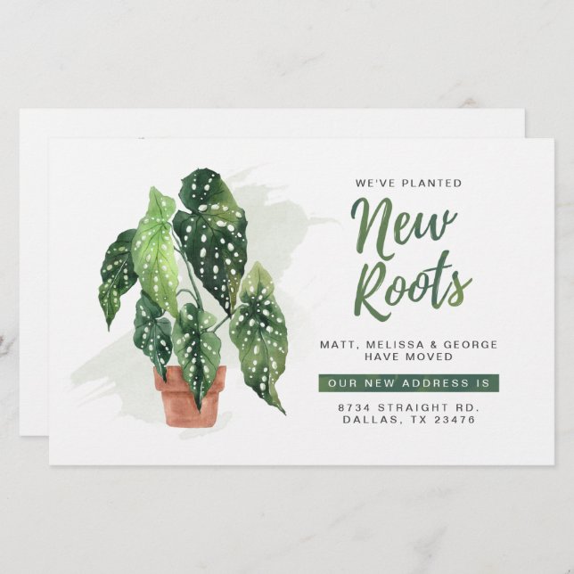 Budget We've Moved Roots Moving Announcement  (Front/Back)