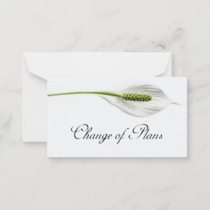 Budget. White on gray Change of Plans Note Card