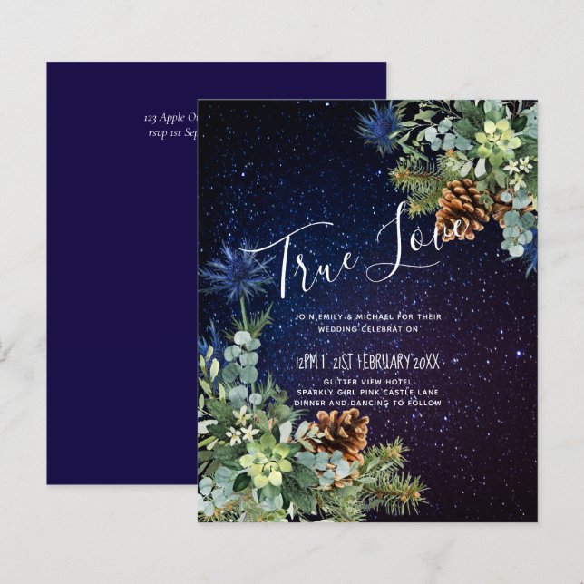 BUDGET Winter Eucalyptus Pine Cones Wedding (Front/Back)