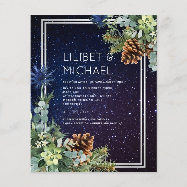 BUDGET Winter Eucalyptus Pine Cones Wedding Flyer (Front)