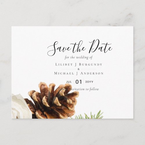 BUDGET Winter Eucalyptus Pine Cones Wedding Postcard