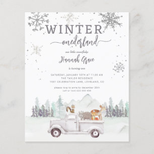 Budget Winter Onederland First Birthday Woodland