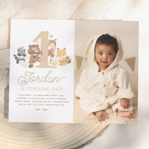Budget Woodland Animals First Birthday Party Photo
