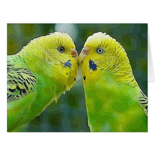 Budgie_2015_0604 (Front Horizontal)