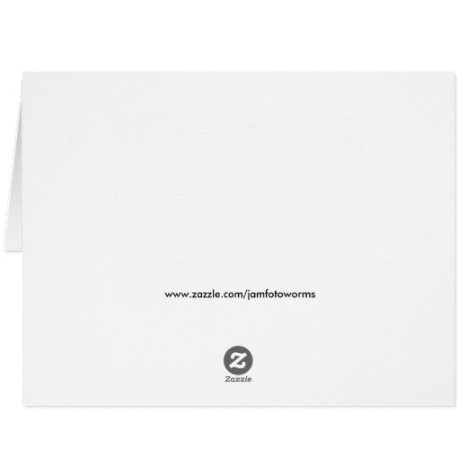 Budgie_2015_0604 (Back Horizontal)