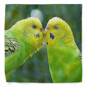 Budgie_2015_0604 Bandana