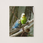 Budgie Bird Jigsaw Puzzle