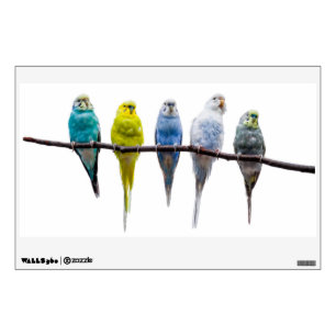 Budgie Birds Wall Sticker