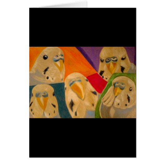 Budgie Budgerigar Cards (Front)