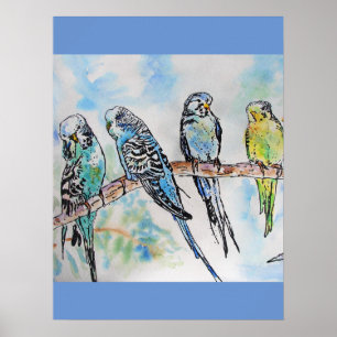 Budgie Budgies Watercolor Painting Bird art Poster