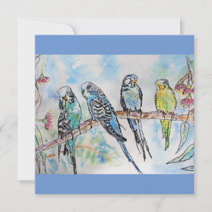 Budgie Budgies Watercolor Painting Bird Card