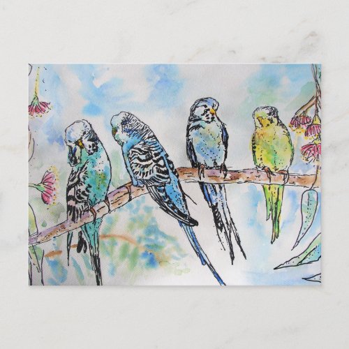 Budgie Budgies Watercolor Painting Bird Card