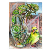 Budgie by the Window (Front)