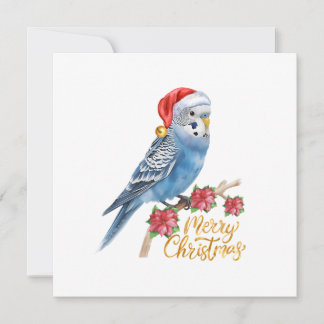 Budgie Christmas Card