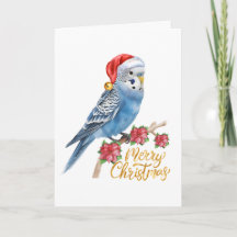 Budgie Christmas Card