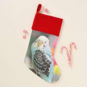 Budgie Christmas Stocking