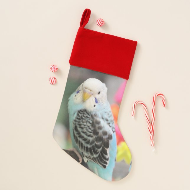 Budgie Christmas Stocking (Front)