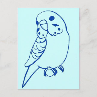 Budgie Drawing Postcard