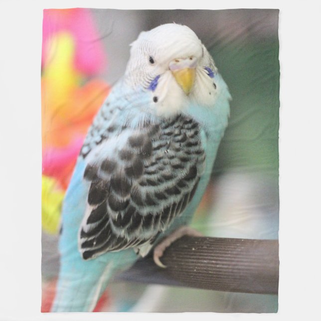 Budgie Fleece Blanket (Front)