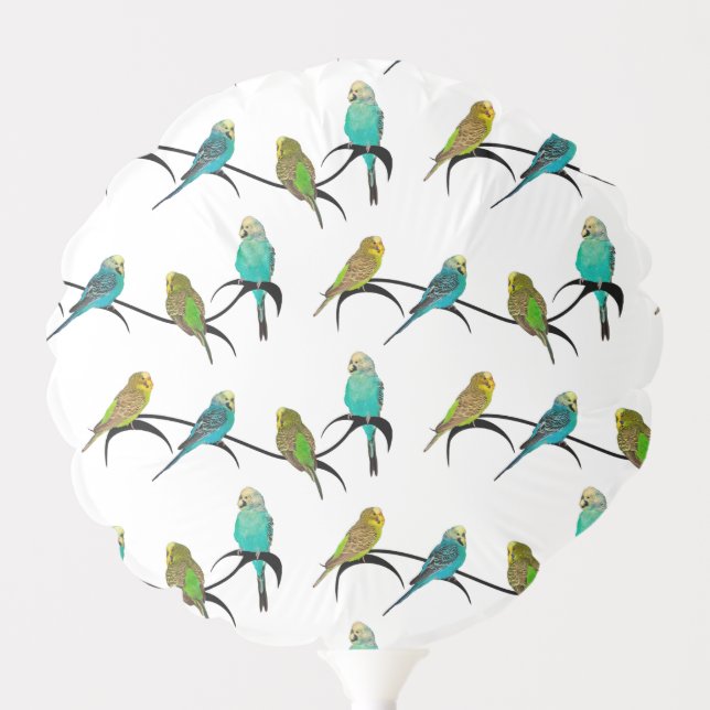 Budgie Frenzy Balloon (choose colour) (Front)