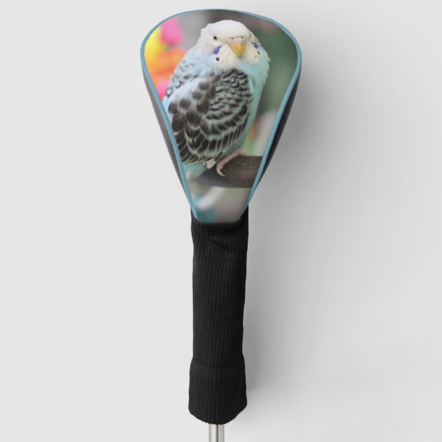 Budgie Golf Head Cover (Front)