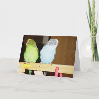 Budgie Large Note Card