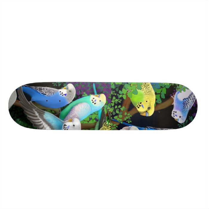 Budgie Parakeets Skateboard