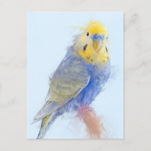 Budgie Portrait No10 Postcard