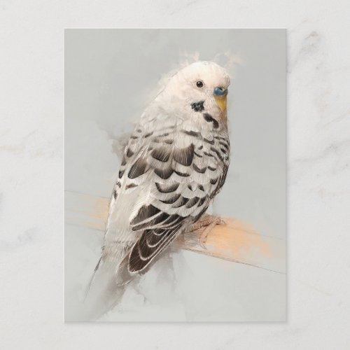 Budgie Portrait No11 Postcard