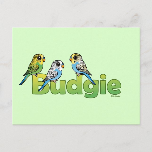 BUDGIE POSTCARD (Front)