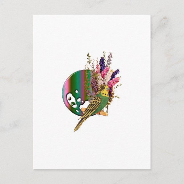 Budgie Postcard (Front)