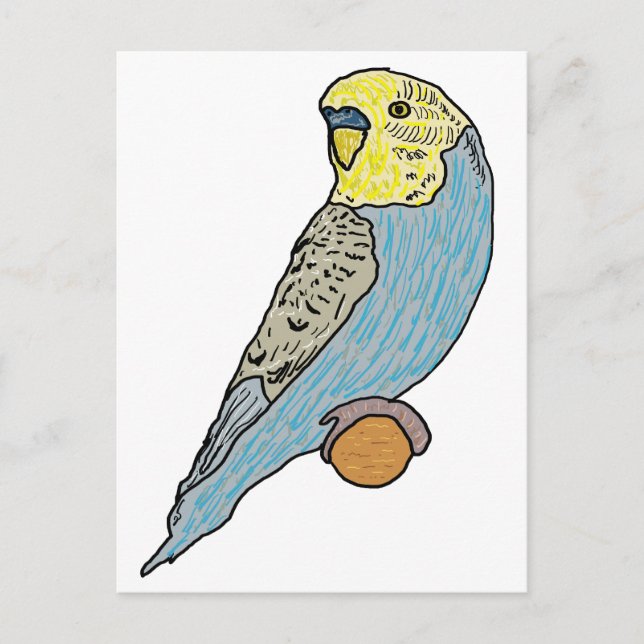 Budgie Postcard (Front)