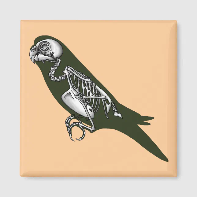 Budgie skeleton magnet | Zazzle