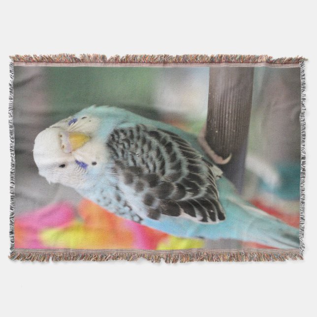 Budgie Throw Blanket (Front)