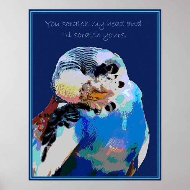 Budgie Wants a Scratch Poster (Front)