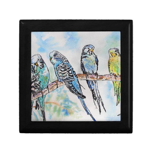 Budgie Watercolour Painting Bird birds Whimsical Gift Box (Front)