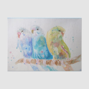 Budgie Watercolour Painting Bird birds Whimsical Tissue Paper