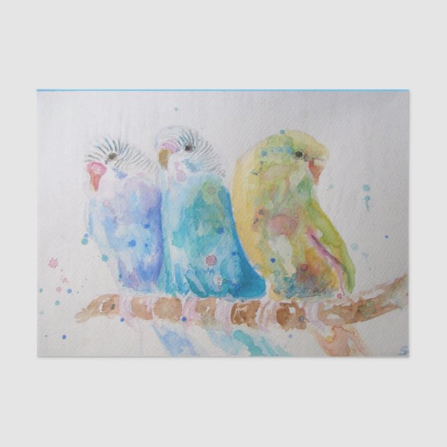 Budgie Watercolour Painting Bird birds Whimsical Tissue Paper (Front)